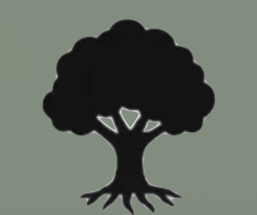 screenshot 2025 08 19 at 9.35.54 am